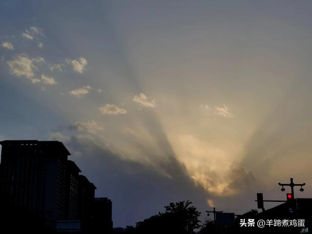 做几天洛阳人——游河南洛阳赏牡丹芬芳 总体概述(四)