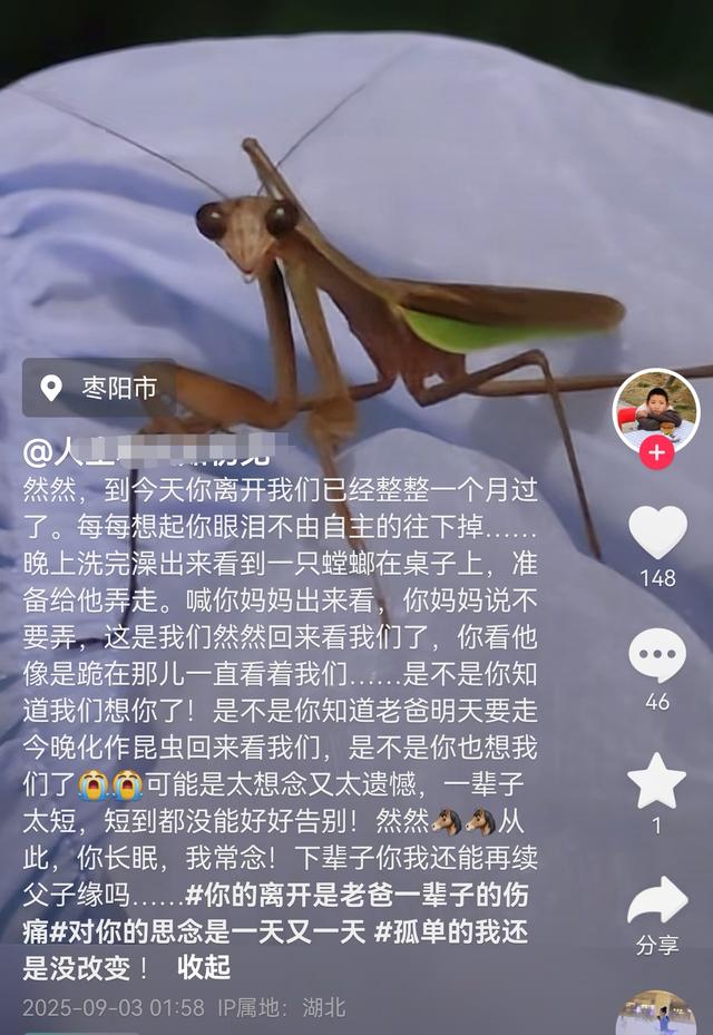 湖北男孩然然去世，年仅10岁，父亲：外婆至今不肯认错，无法原谅