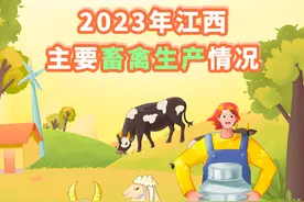 2023年江西主要畜禽肉产量367.6万吨，猪肉产量最高！图片