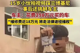 15岁少年踩豪车后续：车定损17万，少年事后挑衅，车主誓言不和解图片