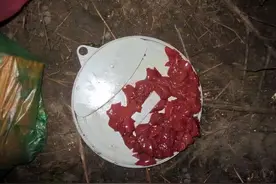 野钓黄辣丁的三种“绝杀饵料”，黄辣丁一钓一个准图片