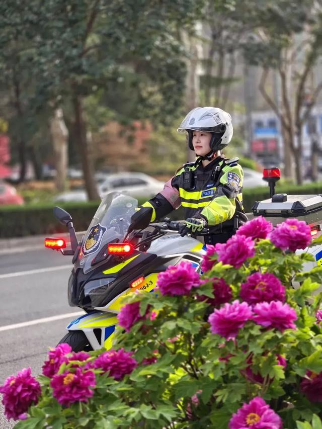 护航牡丹文化节丨黑的白的红的黄的紫的绿的蓝的