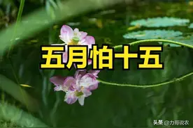 老话“五月怕十五”，今日五月十五，有啥说法？看谚语咋说图片