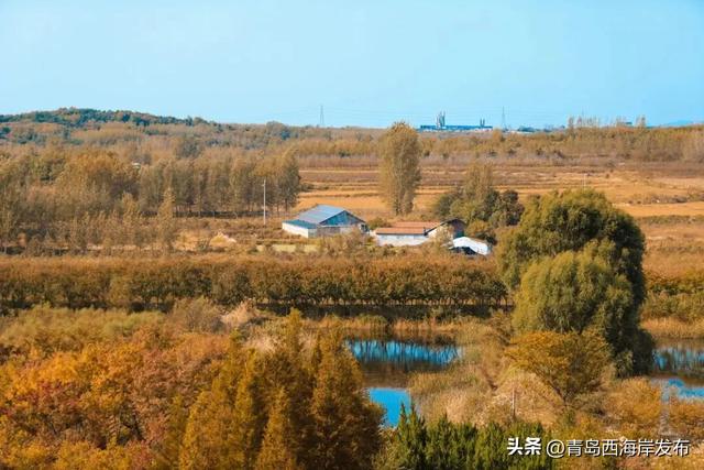 走不出这画了,我已被西海岸的秋景迷倒 🥹