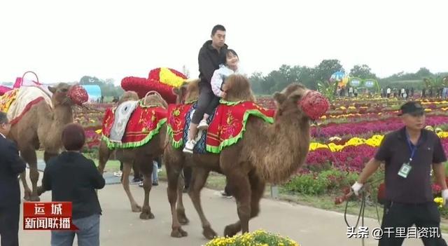 我市文旅花样上新 解锁假日新奇体验
