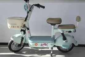 没想到！1000多的大品牌电动车续航上百里，速度要求不高看这4款图片