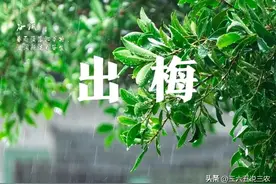 今年“出梅”不一般，三日相逢，老话“最怕出梅雨”，有啥说法？图片