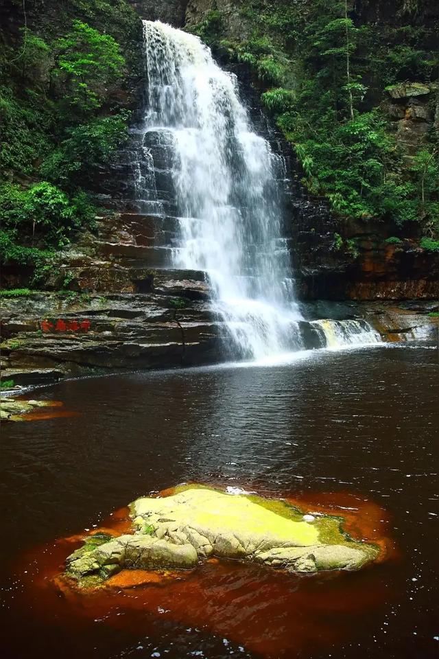 刷屏的大明山“脏水””官方辟谣：是天然茶溪