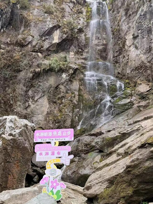 徒步阴平古道，艳遇紫荆繁花｜千年古道万亩紫荆待君来