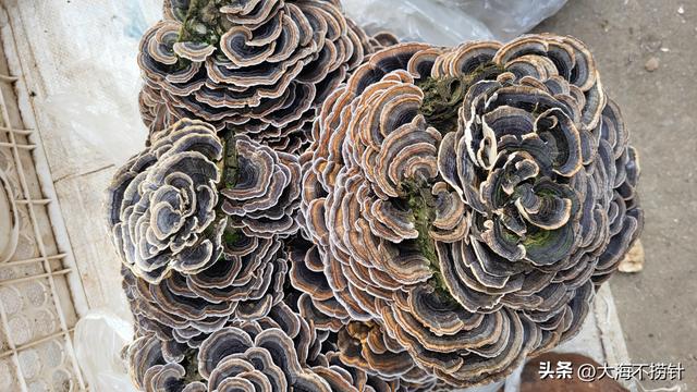 云南行·记·红河州篇之蒙自——历史与现代交融——州府特色鲜明！