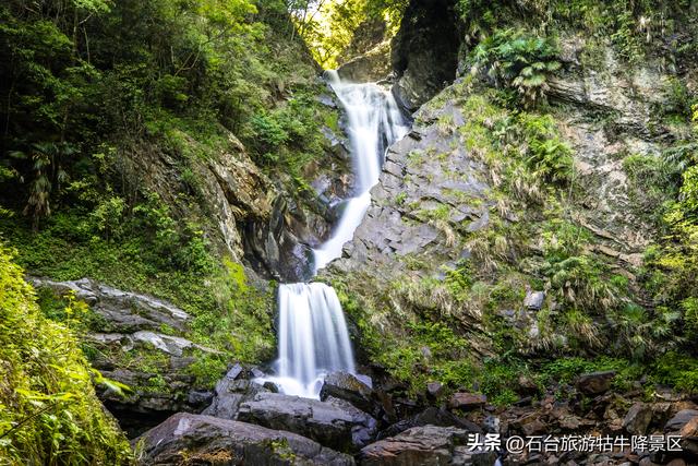 深呼吸的学问：在牯牛降，每一口空气都是“洗肺”