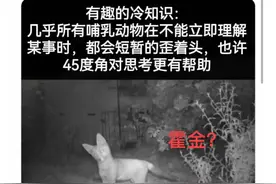 38个的地狱级笑话，看一次笑一次，主打一个解压！图片