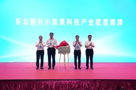 吉林特产丨小浆果 大产业 东北振兴首届小浆果产业发展交流研讨会在长召开图片