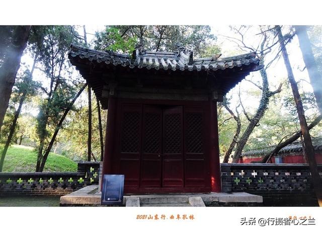 山东行游影记（228）—曲阜孔林（四）