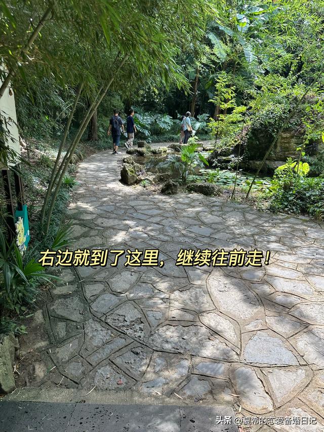 90%的人不知道的黄果树瀑布上帝视角隐藏位置，超详细路线讲解