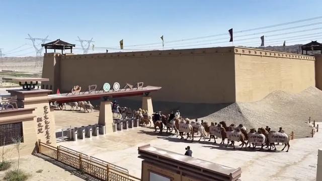 穿越古老的阳关古道，“东天山来的骆驼队”如今走到哪儿了？