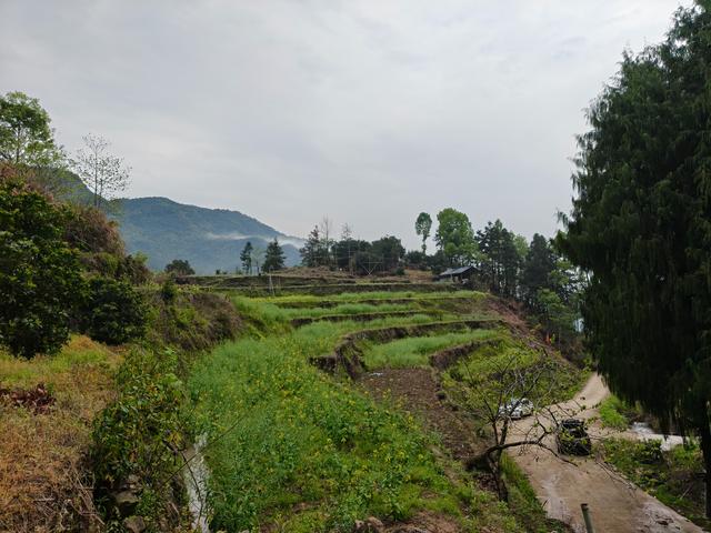 仙居县大木辽村，寻寻觅觅落脚地，起起落落下山走