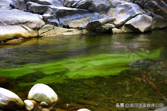 春至四月，云游黑河——这里的踏青赏春胜地千万别错过！