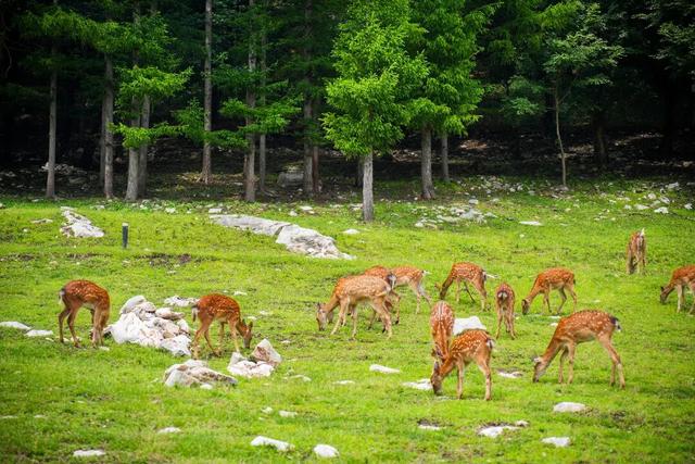 4月18日！开~园~
