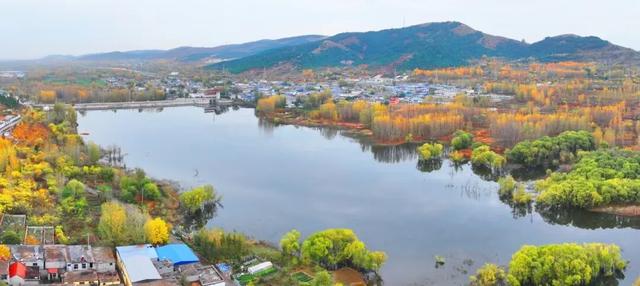 景色怡人！大自然的冬日画作，小城成了树木编织的五彩秘境！