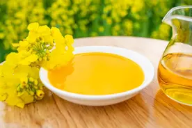 菜籽油中含有芥酸，致癌物超标？关于“吃油”的问题，为你说清楚图片