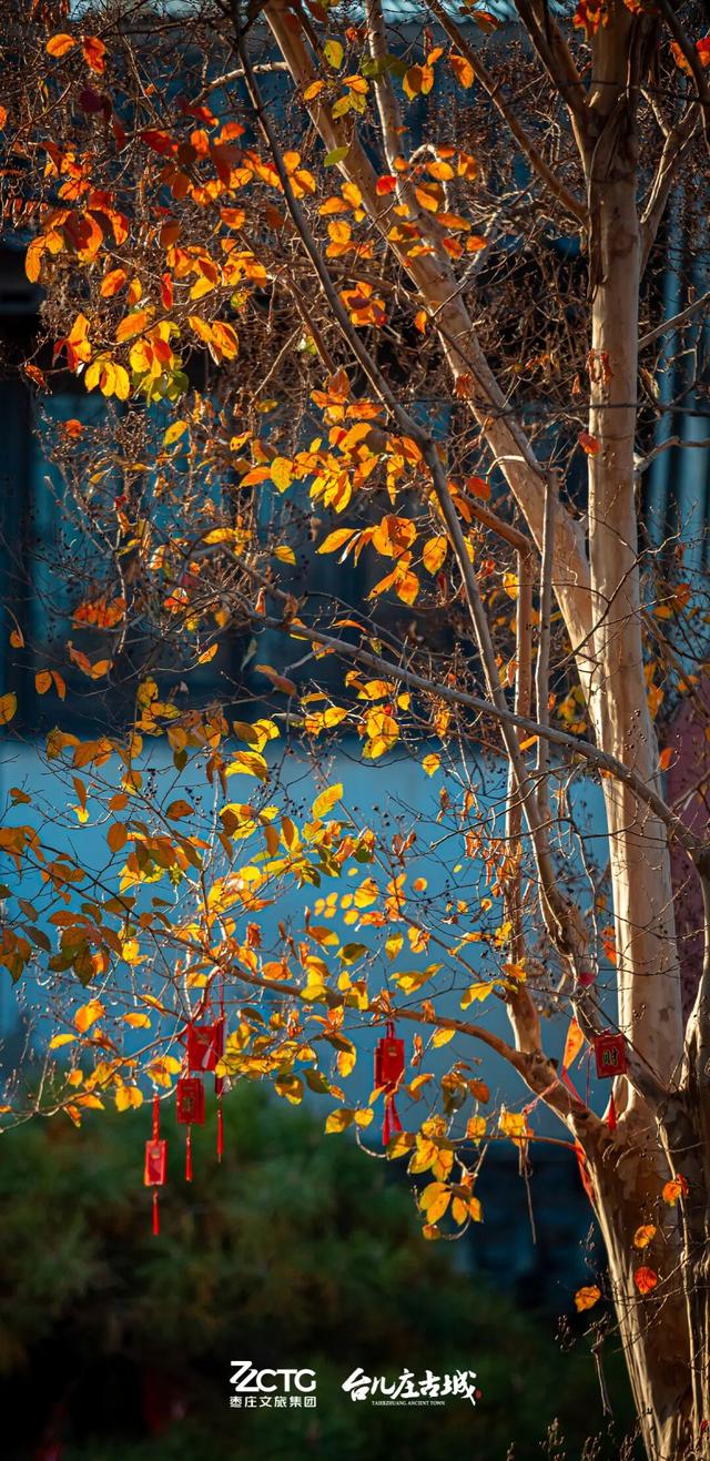 冬韵台儿庄，一键收藏古城的静谧时光