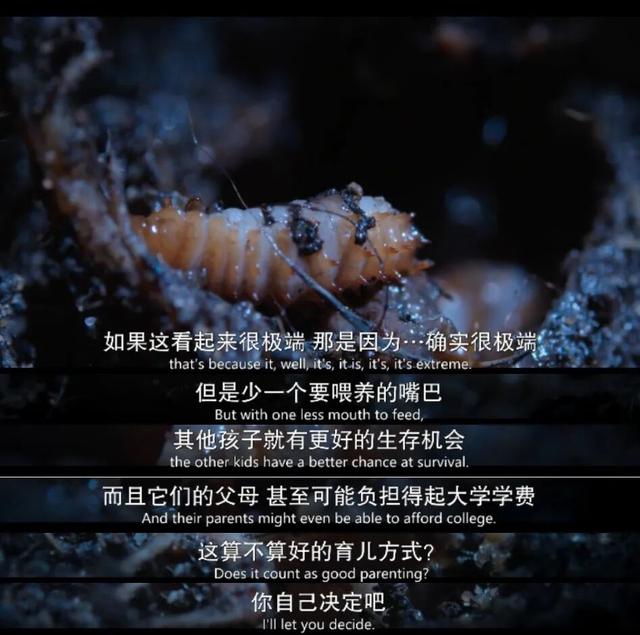 内娱男星讲荤段子，居然拿下豆瓣8.9