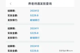 江苏智慧人社已可查12月养老金，第二次补发过渡养老金还查不到图片