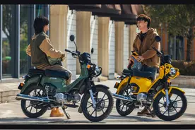 本田幼兽实际只值8000元，另外5000元附加价值在哪？图片