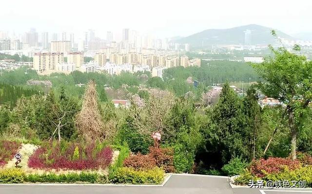铁兵游记 | 枣庄铁道游击队纪念园和微山湖