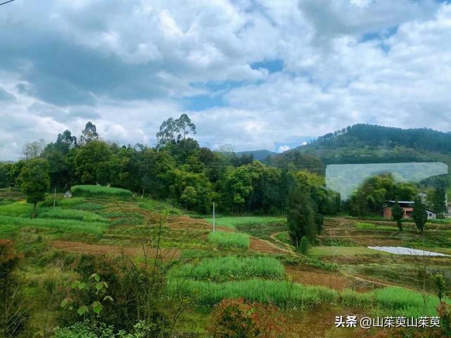 2023年春重庆探亲游（上篇）