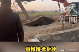 村里要修路，胡老板几棵树叫价20万！90后村官霸气将树连根拔掉图片