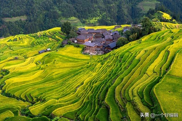 震撼！全球唯一用“梯田”种出银河的民族曝光！看完泪目