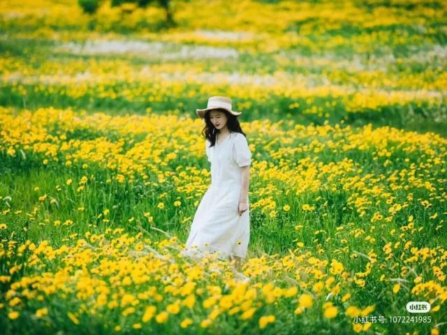 地铁直达！全部免费！成都15个被问爆的赏花地，蓝花楹三角梅美疯了