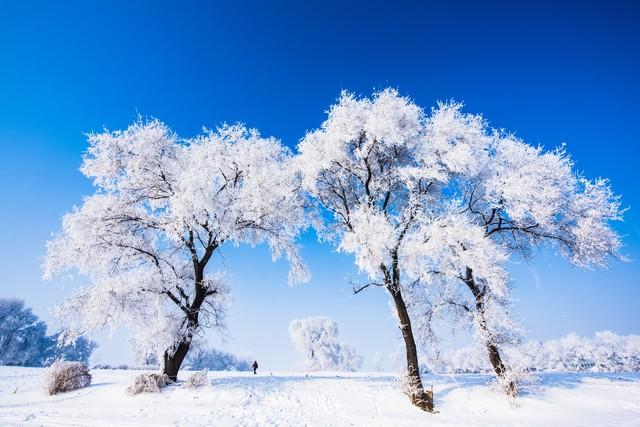 东北最值得去的10个地方，去过5个算合格，去过8个算旅行大玩家