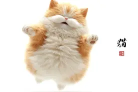 插画｜飞猫图片