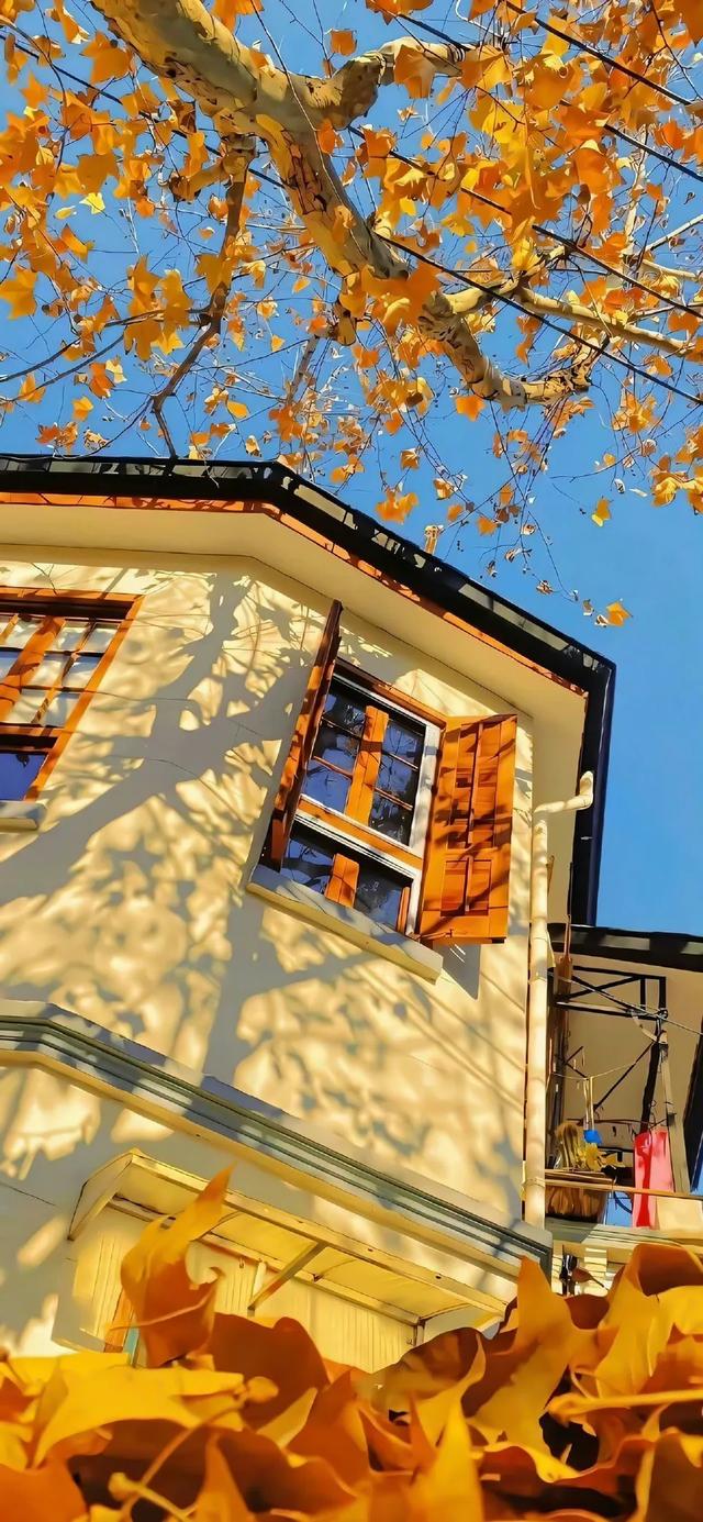 壁纸｜来去都是自由风 好运自会与我重逢