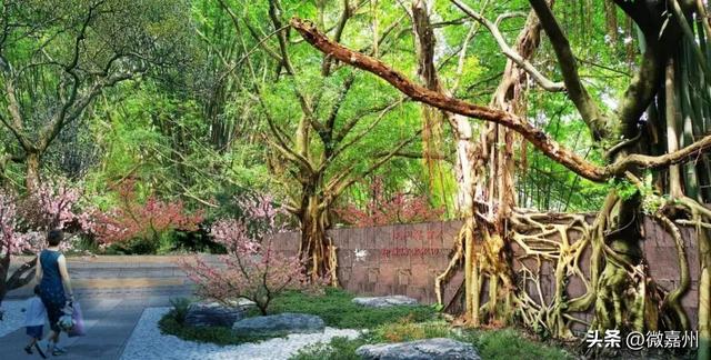 城建第一线丨海棠盛景今日开园 这个假期就到这里享受慢时光