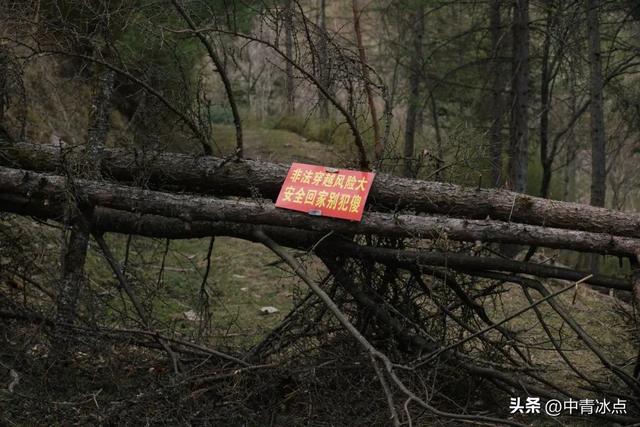 禁不住的“鳌太穿越”背后：25年，超60人失踪、死亡，太保局围追堵截，穿越者打游击战，管理难题何解？