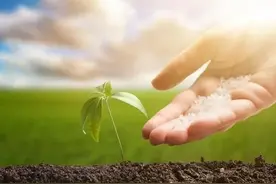 逆子变孝子，曾经叛逆的孩子是如何变好的图片