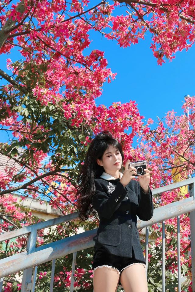 寻觅秋冬季粉色浪漫：深圳十个邂逅异木棉花开的地方