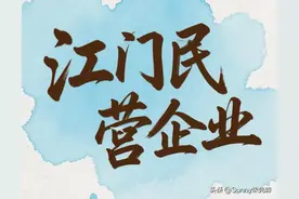 广东江门排名前五的民营企业图片