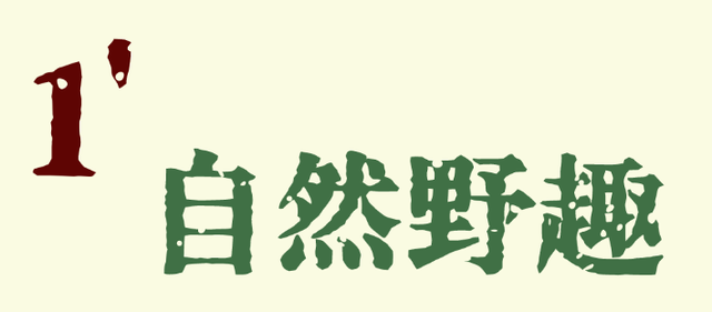 再不来东西湖，暑假就结束了！