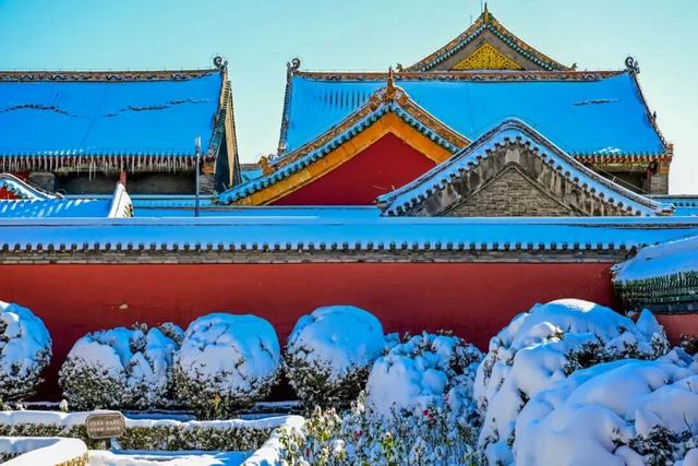 全网都在等的沈阳故宫雪景，来了→