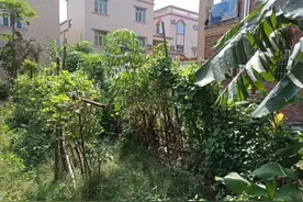 中山市一宗247.4平方米的宅基地拍卖，被人捡漏114.7963万拿下图片