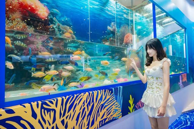 为期3天，这场年底盛会一定要来→