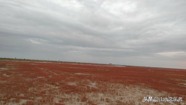 环游大东北之漫步锦州凌海红海滩