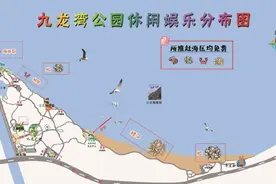 赶海拾贝乐趣多 尽享春日好时光图片