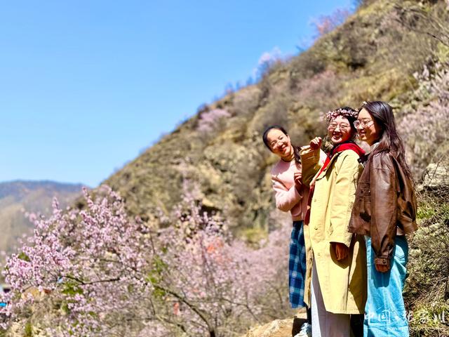 诗意春芳华·花开张家川