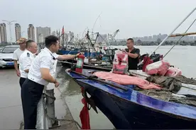 周日，开海！图片